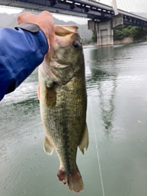 Sagami River Gambler