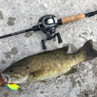 otafish