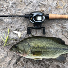 otafish