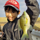 TOYAMAのJr.