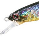 琵琶湖プロガイド森田哲広のガイド中、63cmのビッグバスがルドラSPでキャッチされました!!