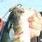2013W.B.S.クラシックが霞ヶ浦水系を舞台に開催され、ハイピッチャーがDAY1のビッグフィッシュ賞獲得に貢献!!