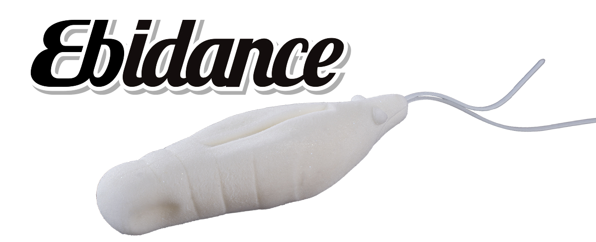 Ebidance