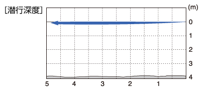 i-Waver 74 F